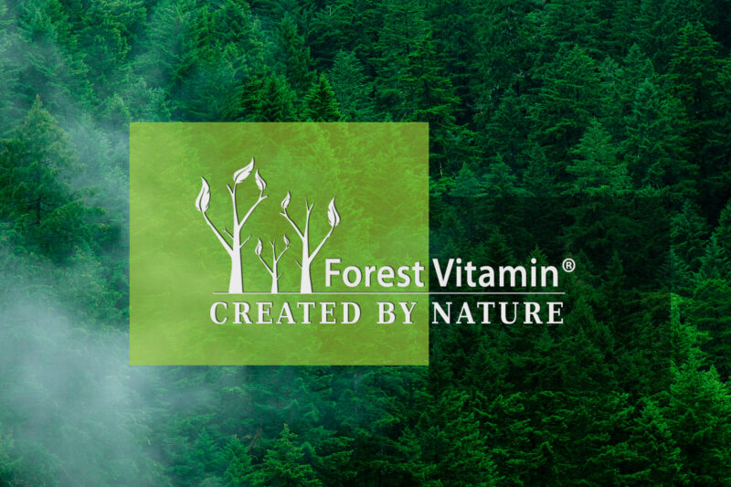 Forest Vitamin® Quercetin Extract - 50 grams in Powder - Image 4