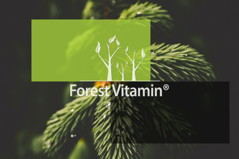 Forest Vitamin® Quercetin Extract - 50 grams in Powder - Image 10