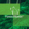 Forest Vitamin® Vitamin K2MK-7 200 µg - Capsules - Image 11