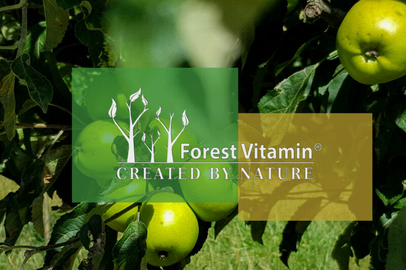 Forest Vitamin® Apple Cider Vinegar Extract 500 mg – 60 Capsules - Image 4