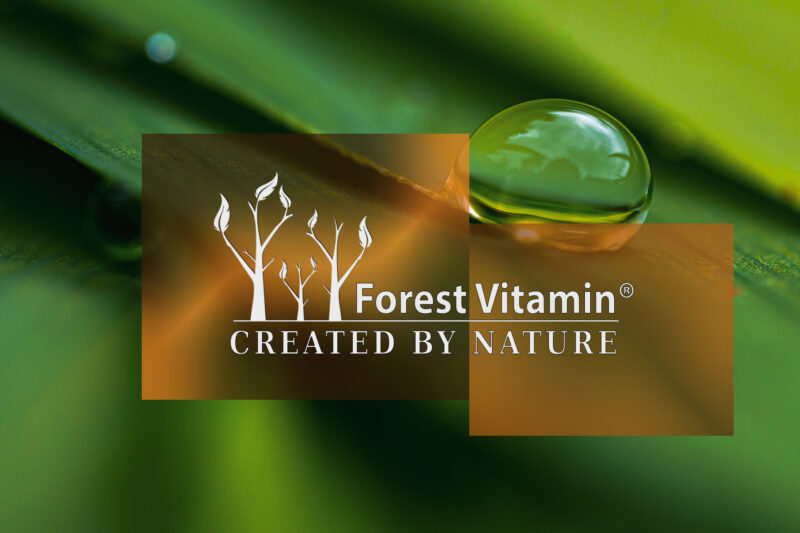 Forest Vitamin® Koenzym Q10 (Ubichinon) - Proszek - obrazek 5