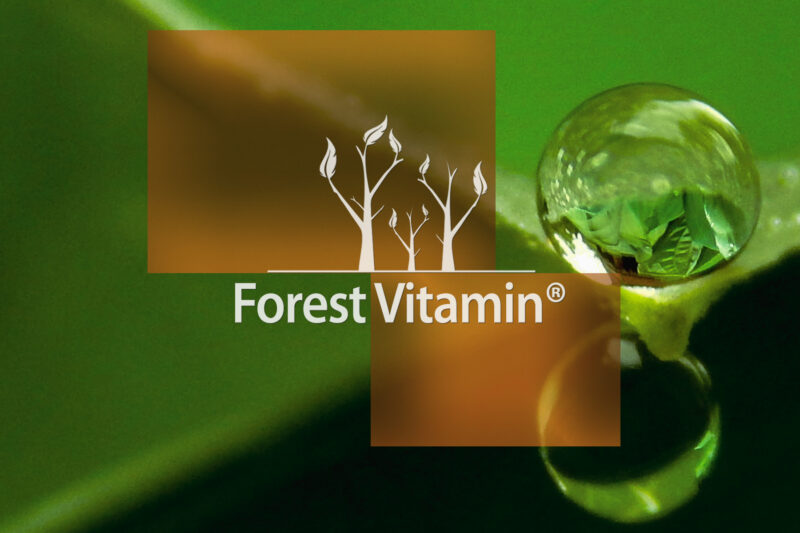 Forest Vitamin® Koenzym Q10 (Ubichinon) - Proszek - obrazek 15