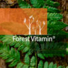 Forest Vitamin® NAC 600mg - Kapsułki - obrazek 11