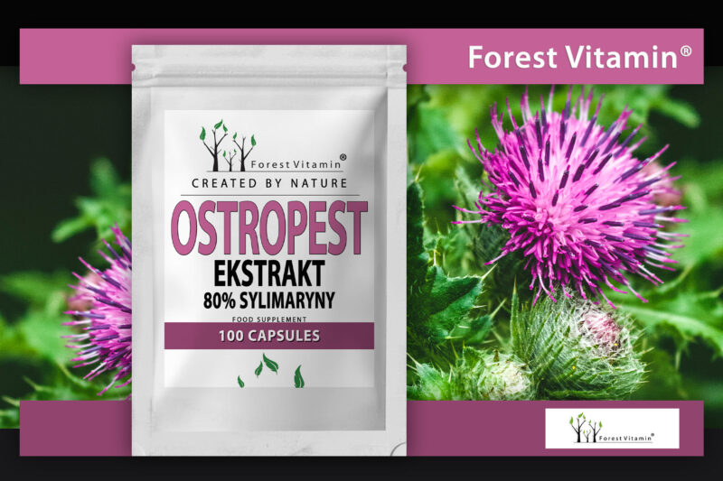 Forest Vitamin® Milk Thistle Exstract - 100 Capsules - Image 6