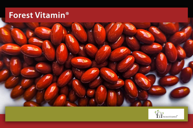 Forest Vitamin® Coenzyme Q10 100 mg - Softgel Capsules - Image 16