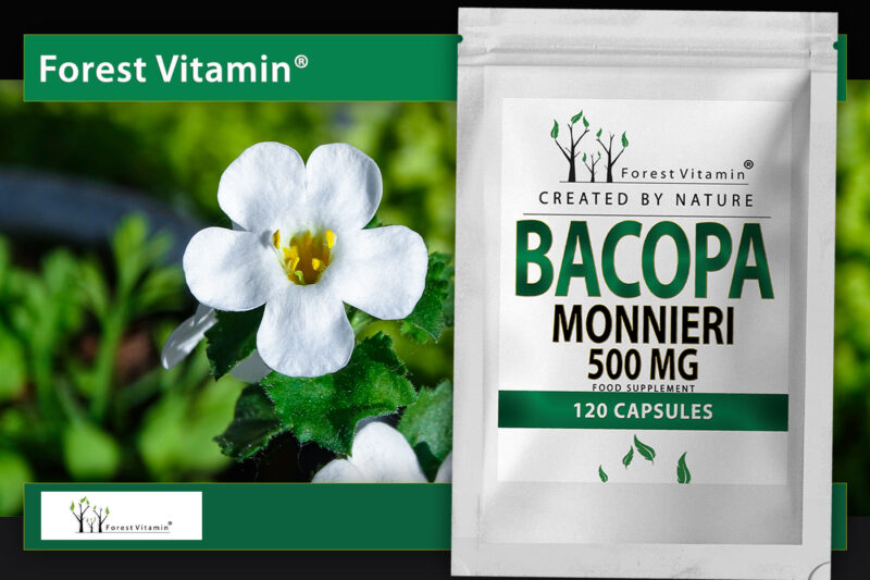 Forest Vitamin® Bacopa Monnieri Extract 500 mg - Capsules - Image 9