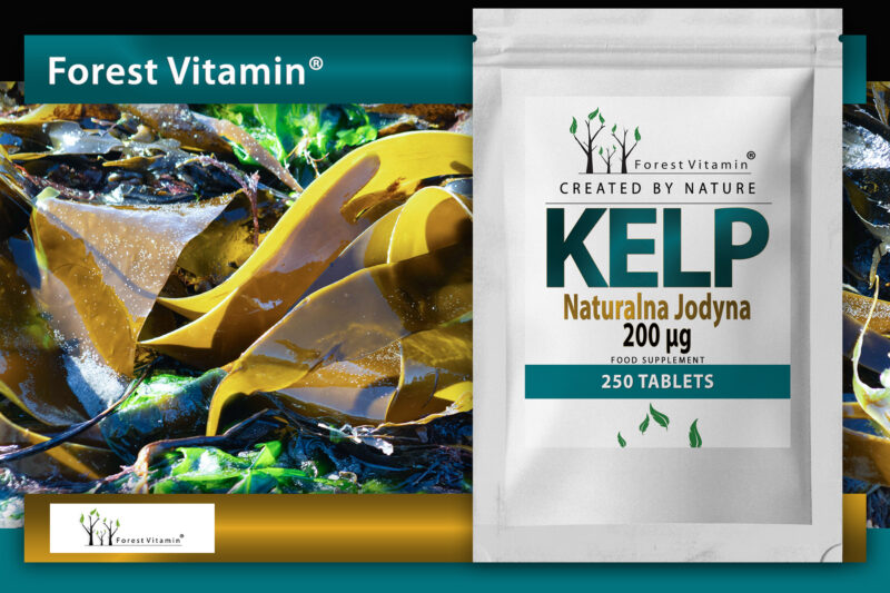 Forest Vitamin® KELP Ekstrakt Naturalna Jodyna 200 µg - 250 Tabletek - obrazek 8