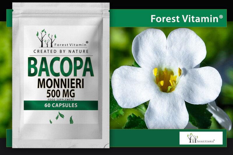 Forest Vitamin® Bacopa Monnieri Extract 500 mg - Capsules - Image 6