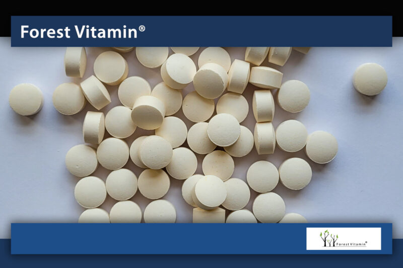 Forest Vitamin® GABA 500 mg - 100 Tablets - Image 9