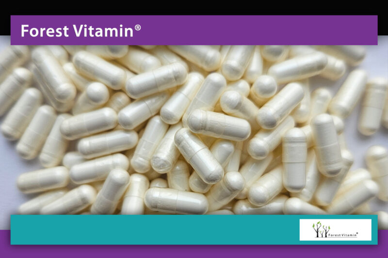 Forest Vitamin® Glukozamina 2KCL 1000 mg - 100 Kapsułek - obrazek 9