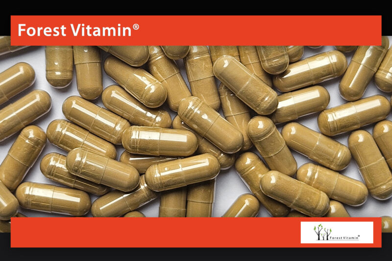 Forest Vitamin® Guarana Extract 525 mg - 60 Capsules - Image 9