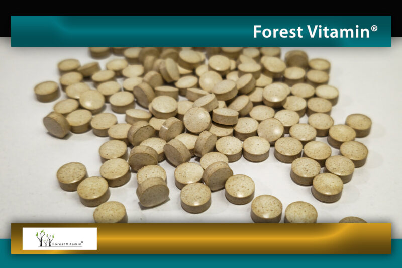 Forest Vitamin® KELP Ekstrakt Naturalna Jodyna 200 µg - 250 Tabletek - obrazek 9