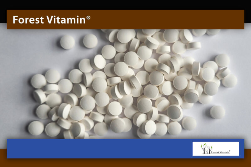 Forest Vitamin® Caffeine 200 mg - 100 Tablets - Image 9