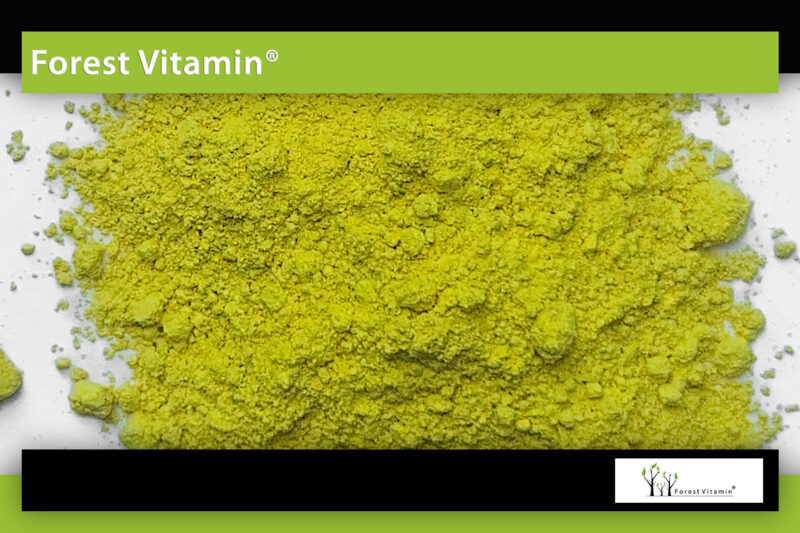 Forest Vitamin® Quercetin Extract - 50 grams in Powder - Image 9
