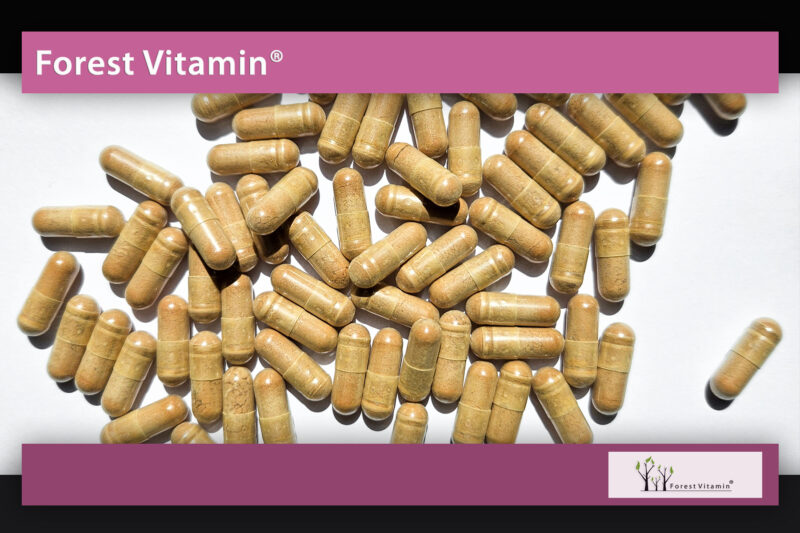 Forest Vitamin® Milk Thistle Exstract - 100 Capsules - Image 9