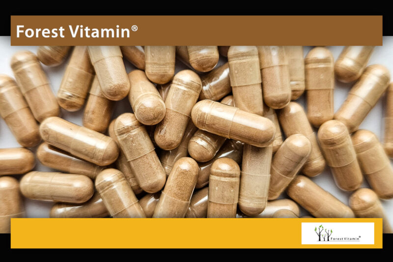Forest Vitamin® Różeniec Górski Ekstrakt 100 mg - 100 Kapsułek - obrazek 8