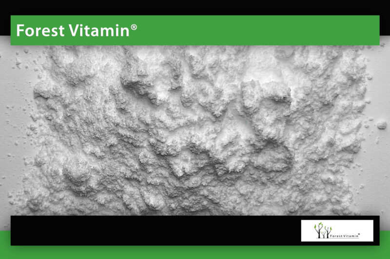 Forest Vitamin® CDP Choline Citicoline - 25g Powder - Image 11