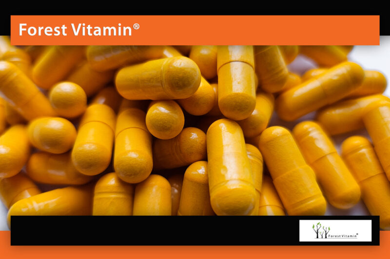 Forest Vitamin® Turmeric + Black Pepper Extract - 100 Capsules - Image 9