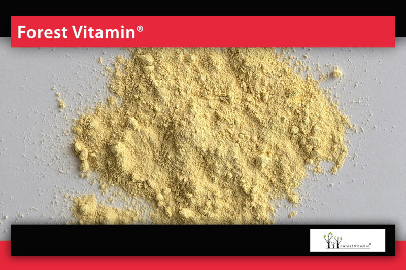 Forest Vitamin® APIGENIN 98% Powder - Image 12