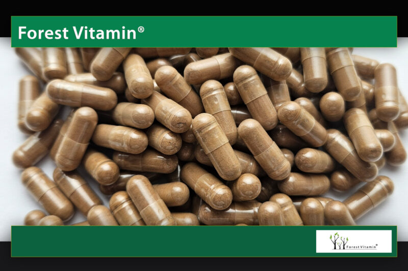 Forest Vitamin® Bacopa Monnieri Extract 500 mg - Capsules - Image 10