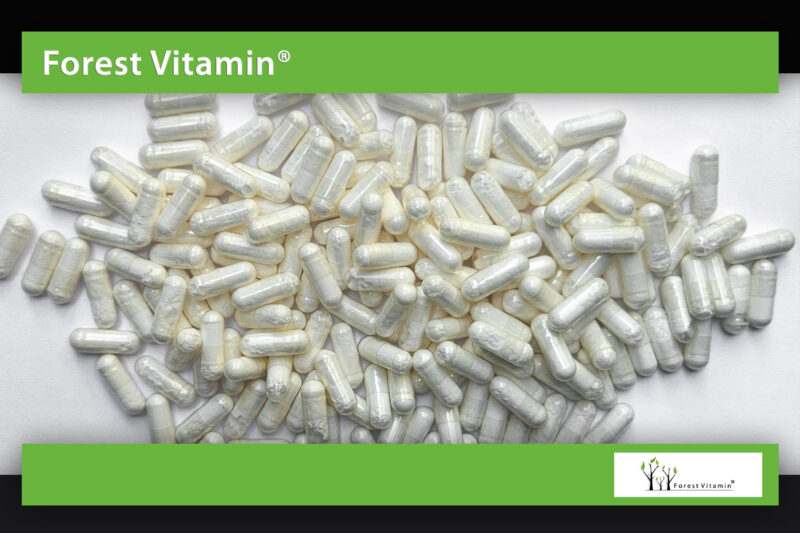 Forest Vitamin® CDP Choline 300 mg - 60 and 100 Capsules - Image 13