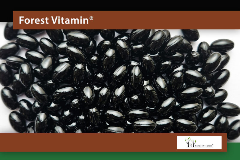 Forest Vitamin® Astaxanthin Natural 4 mg - Softgel Capsules - Image 11