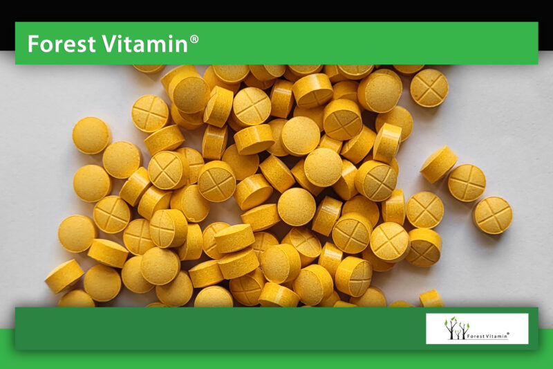 Forest Vitamin® Witaminy B Complex - Tabletki - obrazek 13