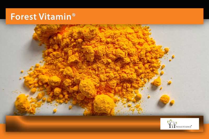 Forest Vitamin® Koenzym Q10 (Ubichinon) - Proszek - obrazek 14