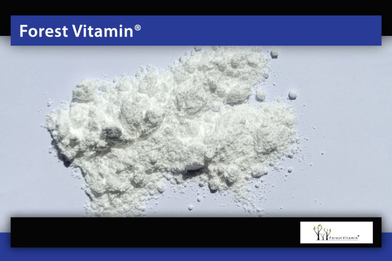 Forest Vitamin® Kofeina Bezwodna - Proszek - obrazek 13
