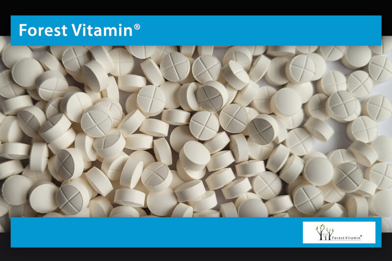 Forest Vitamin® Melatonina 2,5 mg - Tabletki - obrazek 9