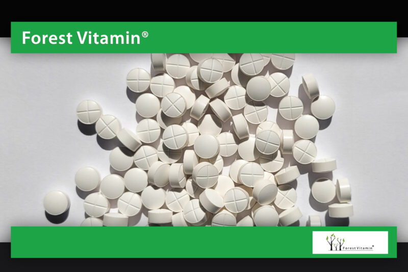 Forest Vitamin® Witamina K2 MK-7 500 µg - Tabletki - obrazek 10