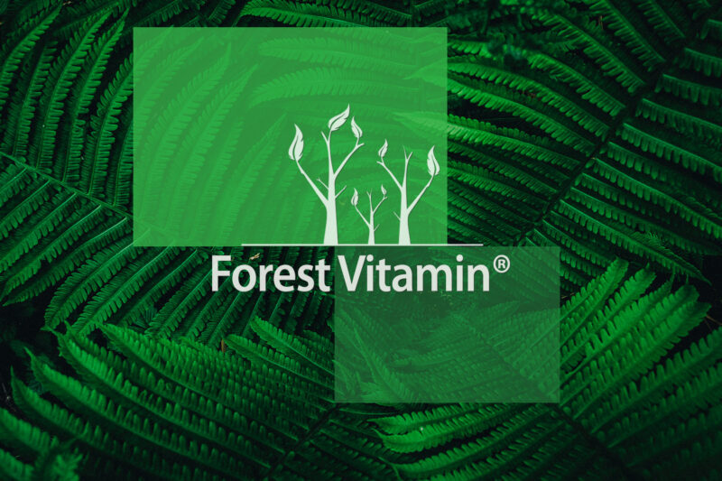 Forest Vitamin® Witaminy B Complex - Tabletki - obrazek 14