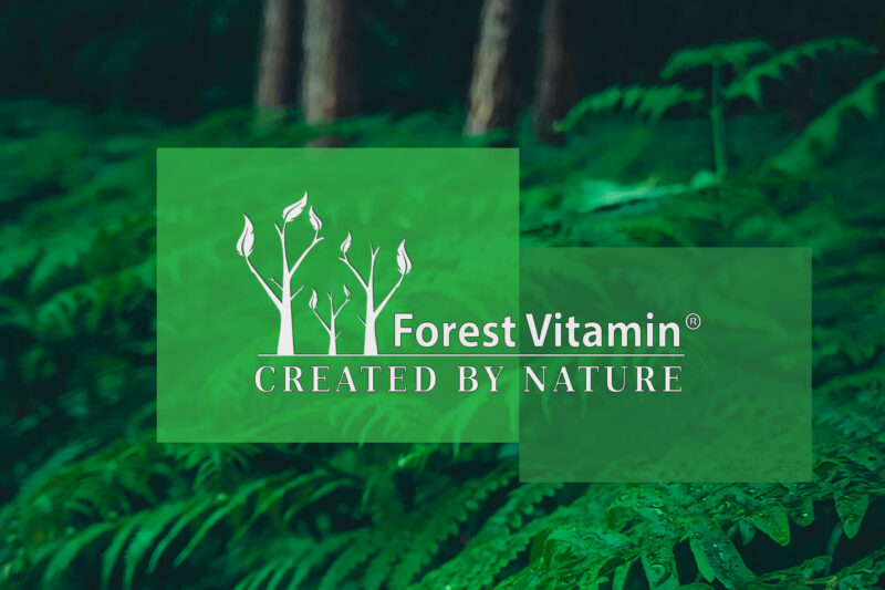 Forest Vitamin® Witaminy B Complex - Tabletki - obrazek 4