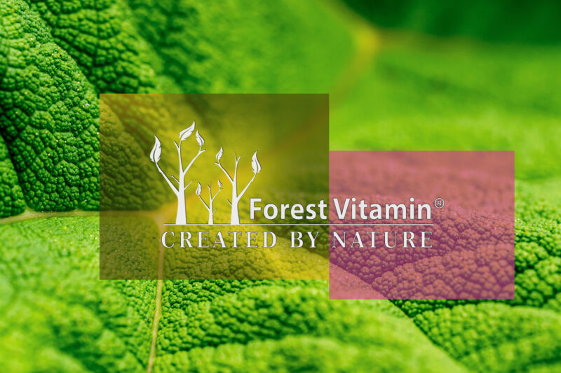 Forest Vitamin® Biotyna 5 mg - Tabletki - obrazek 6