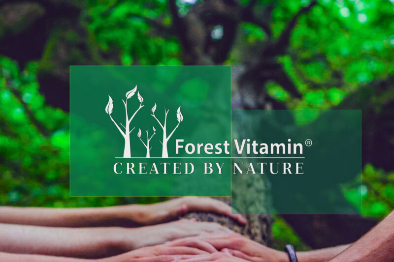 Forest Vitamin® Bacopa Monnieri Extract 500 mg - Capsules - Image 4