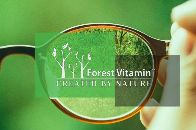 Forest Vitamin® CDP Choline Citicoline - 25g Powder - Image 6