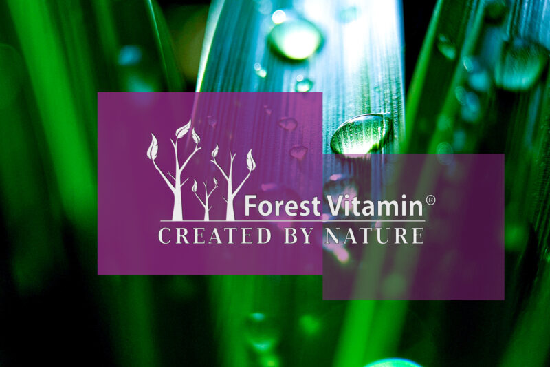 Forest Vitamin® D3 100.000 iu 50g - Proszek - obrazek 4