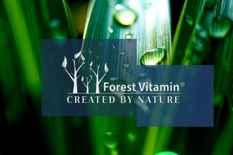 Forest Vitamin® GABA 500 mg - 100 Tablets - Image 4