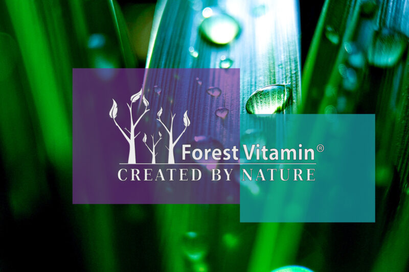 Forest Vitamin® Glukozamina 2KCL 1000 mg - 100 Kapsułek - obrazek 4