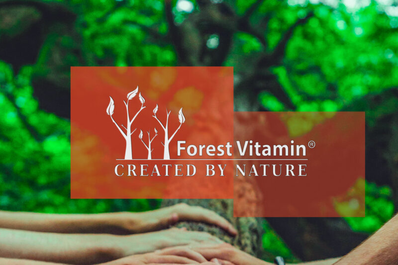 Forest Vitamin® Guarana Extract 525 mg - 60 Capsules - Image 4