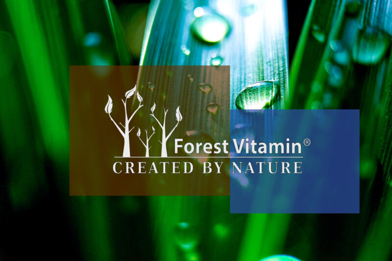 Forest Vitamin® Caffeine 200 mg - 100 Tablets - Image 4