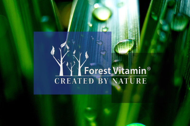Forest Vitamin® Kofeina Bezwodna - Proszek - obrazek 4