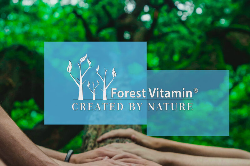 Forest Vitamin® Magnez Cytrynian 450 mg + Witamina B6 - Tabletki - obrazek 4