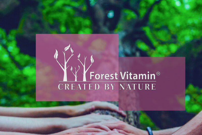 Forest Vitamin® Milk Thistle Exstract - 100 Capsules - Image 5