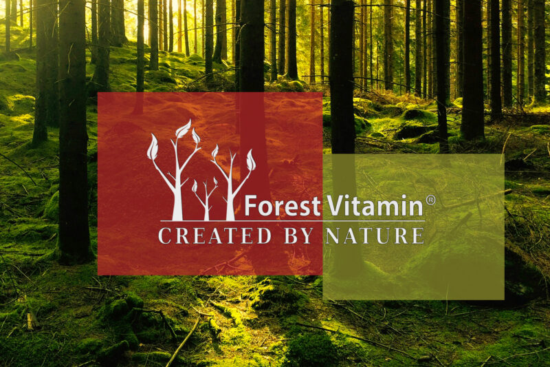 Forest Vitamin® Coenzyme Q10 100 mg - Softgel Capsules - Image 4