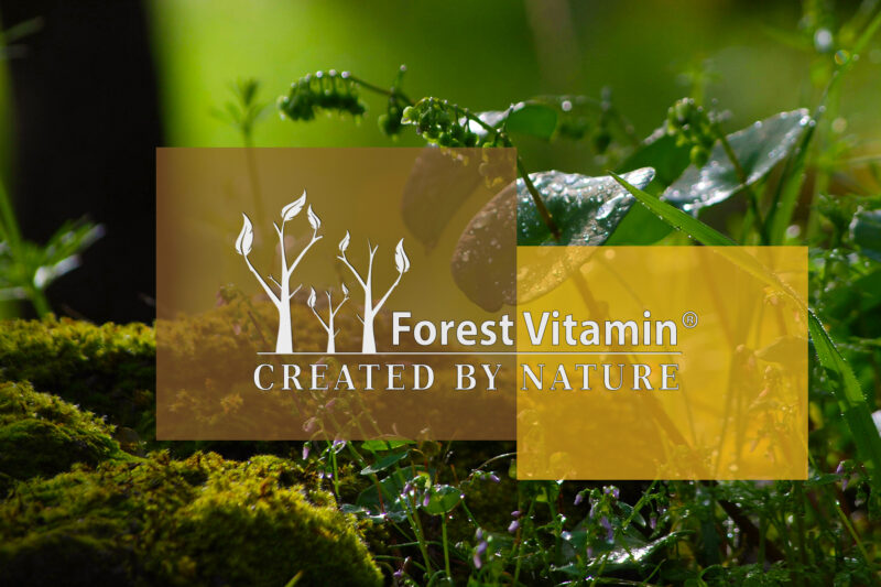 Forest Vitamin® Różeniec Górski Ekstrakt 100 mg - 100 Kapsułek - obrazek 4