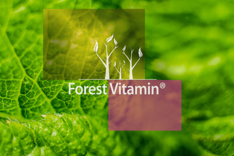 Forest Vitamin® Biotyna 5 mg - Tabletki - obrazek 13
