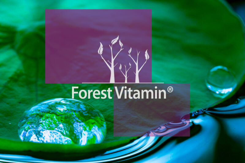Forest Vitamin® D3 100.000 iu 50g - Proszek - obrazek 10