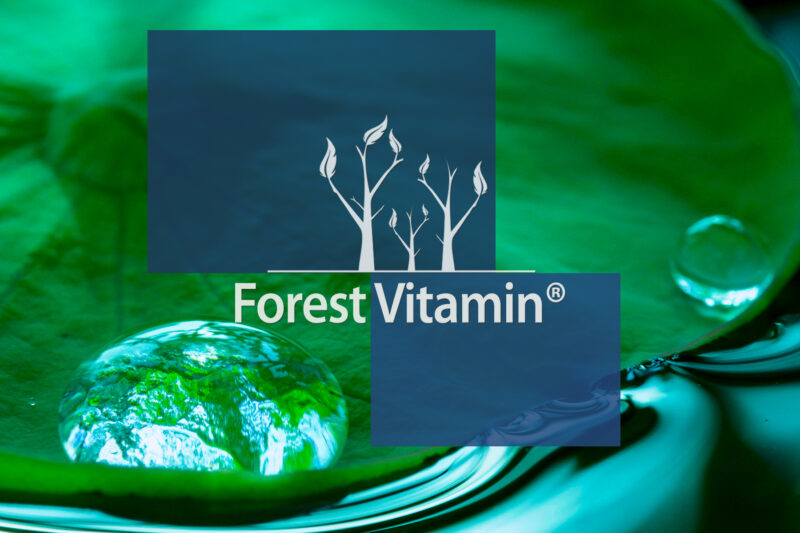 Forest Vitamin® GABA 500 mg - 100 Tablets - Image 10