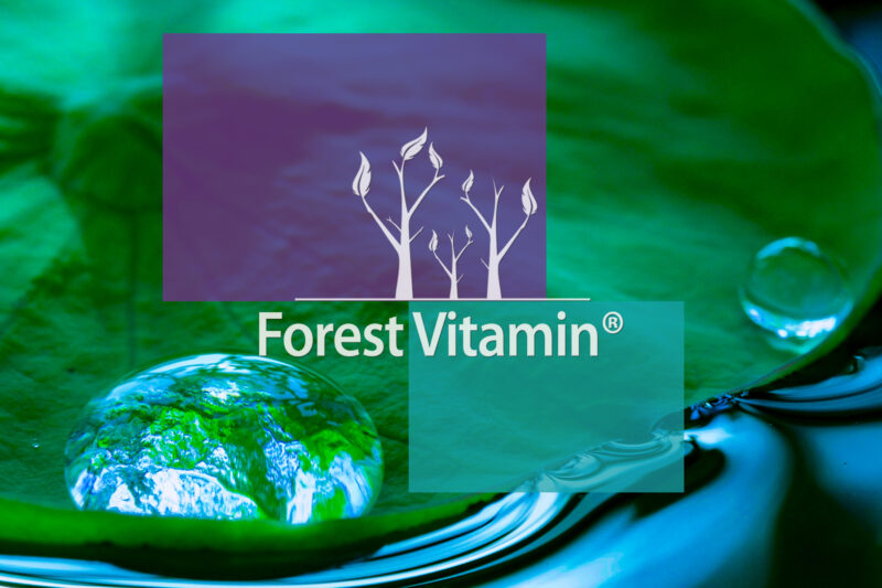 Forest Vitamin® Glukozamina 2KCL 1000 mg - 100 Kapsułek - obrazek 10